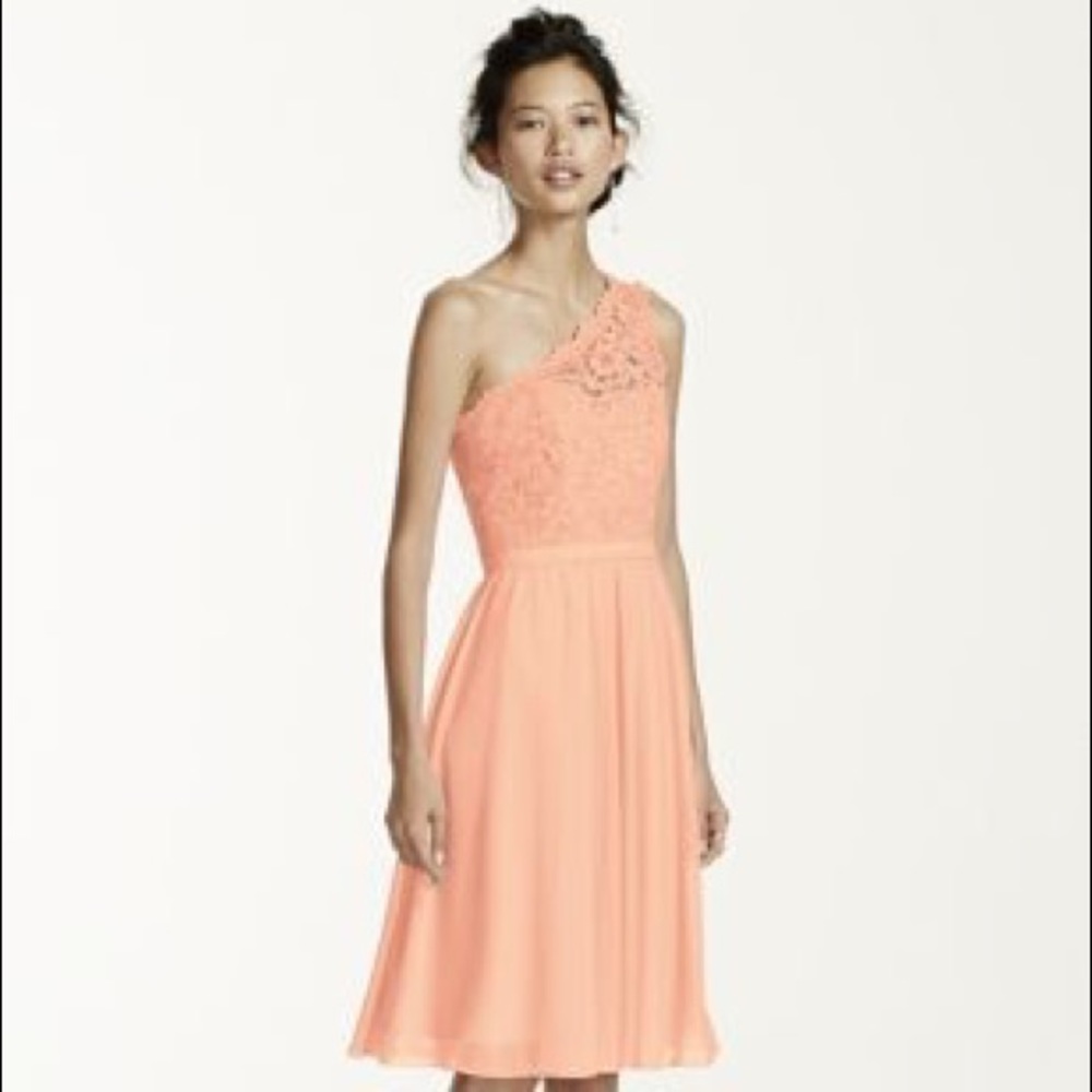 BNWT David Bridal Bellini One Shoulder Lace Dress